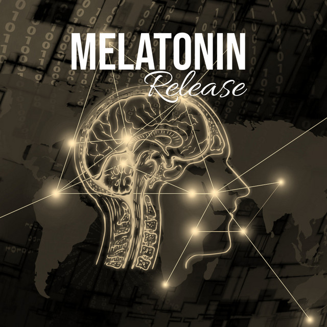 Memory Reprocessing cover art