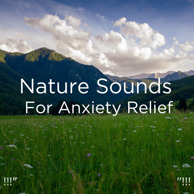 !!!" Nature Sounds For Anxiety Relief "!!! cover art