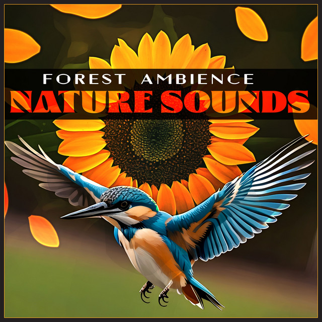 Forest Ambience Nature Sounds - Compilation by Various Artists | Spotify