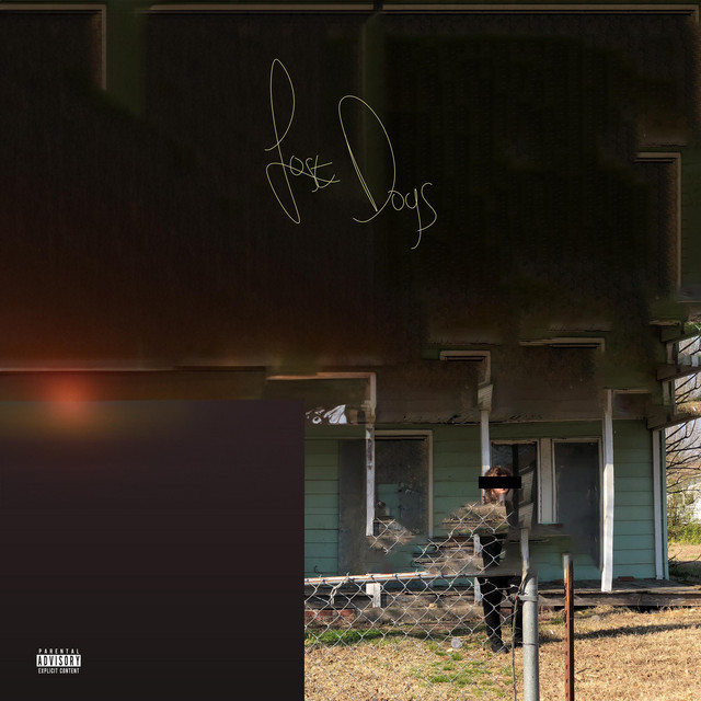 Lost Dogs cover art