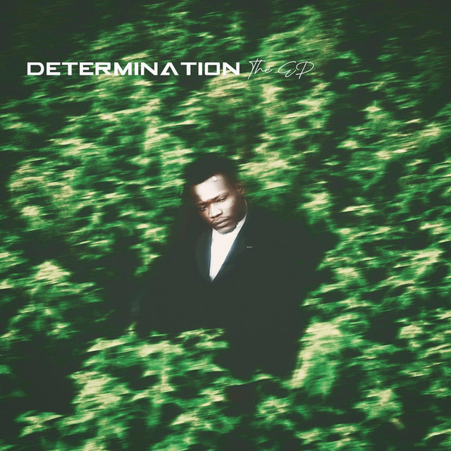 Determination cover art