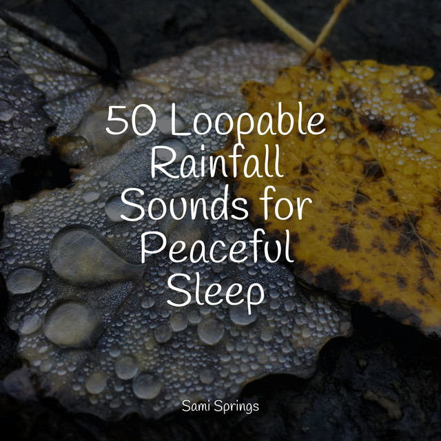 50 Loopable Rainfall Sounds for Peaceful Sleep - Album by Natureza ...