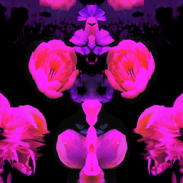 Deluca cover art