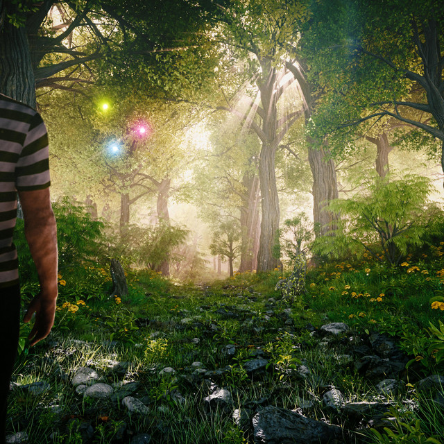 forest of fairytales cover art