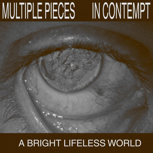 A Bright Lifeless World cover art