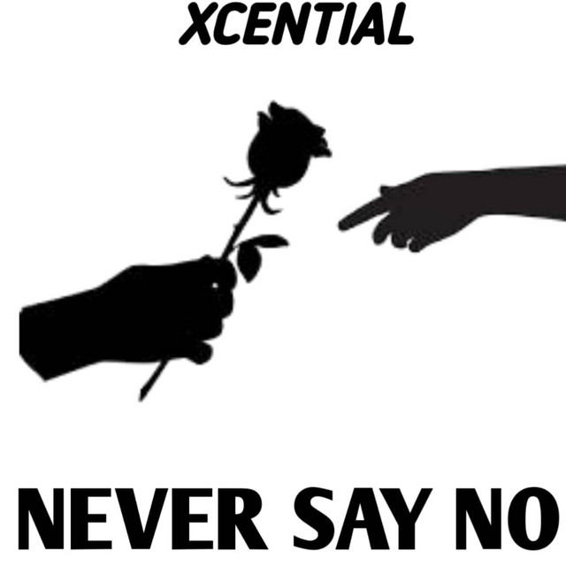 Never Say No cover art