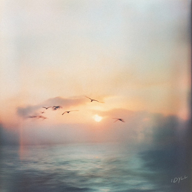 Cardinal Wind