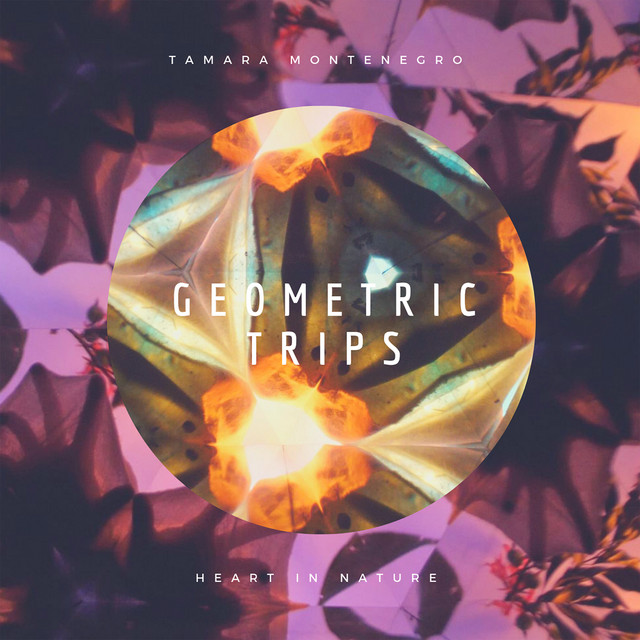 Geometric Trips cover