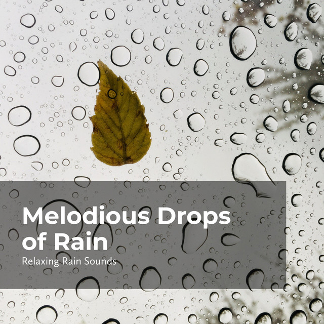 Melodious Drops of Rain - Album by Rain Drops for Sleep | Spotify