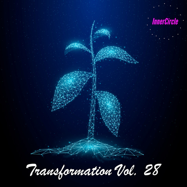 Transformation, Vol. 28