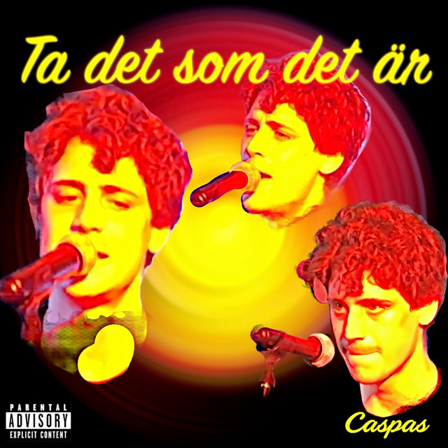 Ta det som det är cover art
