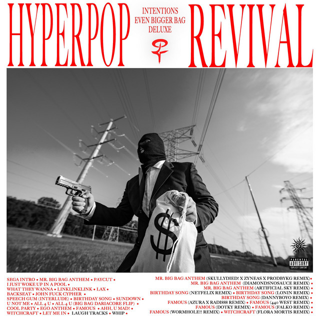 MR. BIG BAG : EVEN BIGGER BAG (DELUXE) cover art