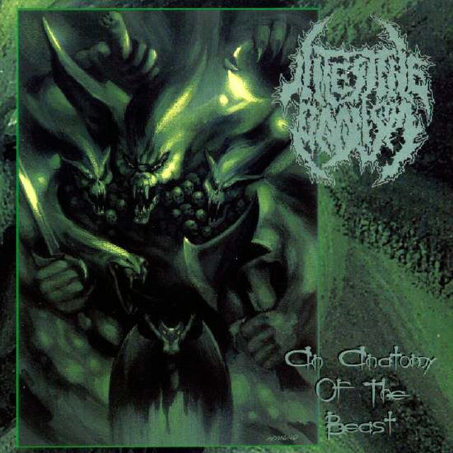 INTESTINE BAALISM An Anatomy Of The〜 Listen to An Anatomy Of The Beast - Album by Intestine Baalism