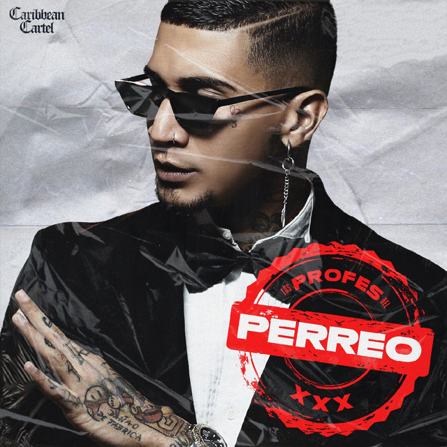 LOS PROFES DEL PERREO cover art