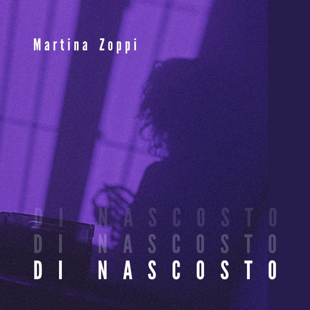 Di nascosto cover