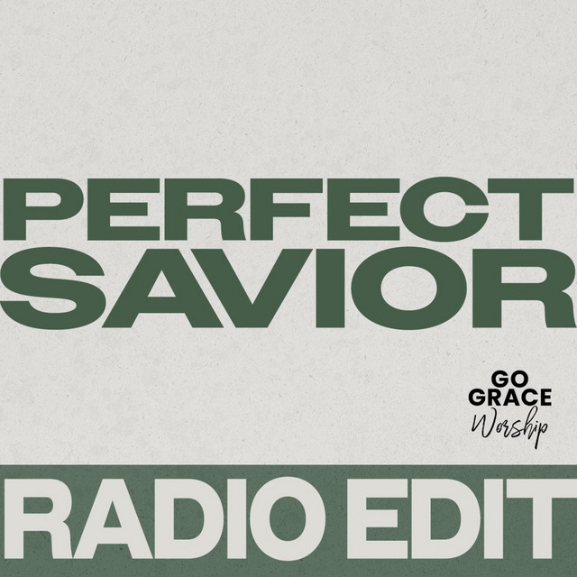 Perfect Savior - Radio Edit