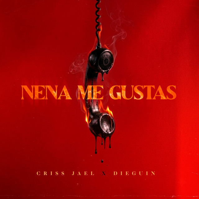 Nena Me Gustas