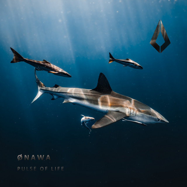Pulse of Life