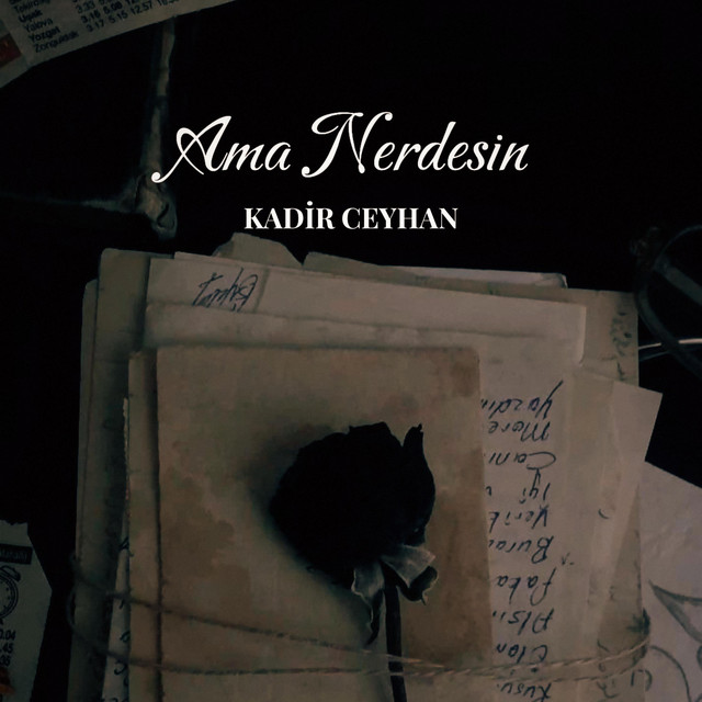 Ama Nerdesin cover art