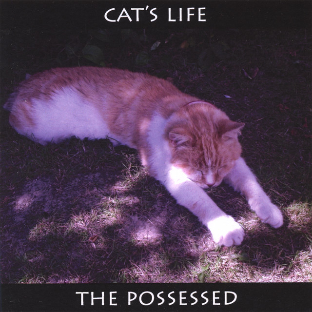 The Possessed