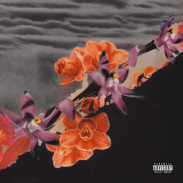 No More Flowers For Remedy cover art