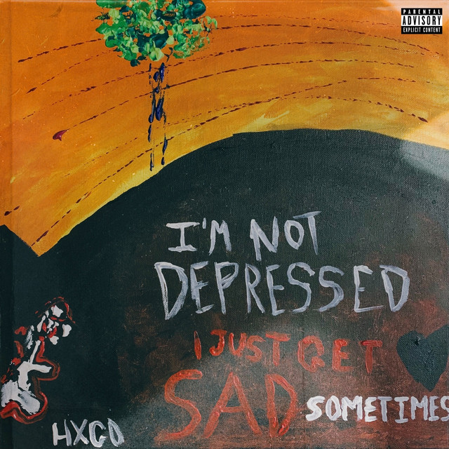 I'm Not Depressed, I Just Get Sad Sometimes cover art