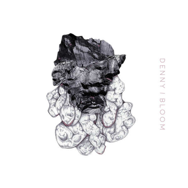 Bloom cover art