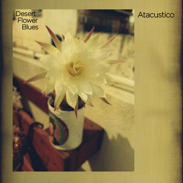 Desert Flower Blues