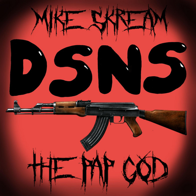 DSNS