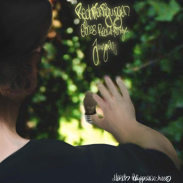 Rechtfertigungen eines recht fertigen Jungen cover art