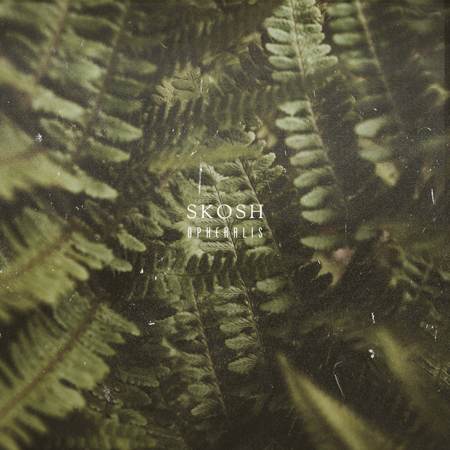 Skosh cover art