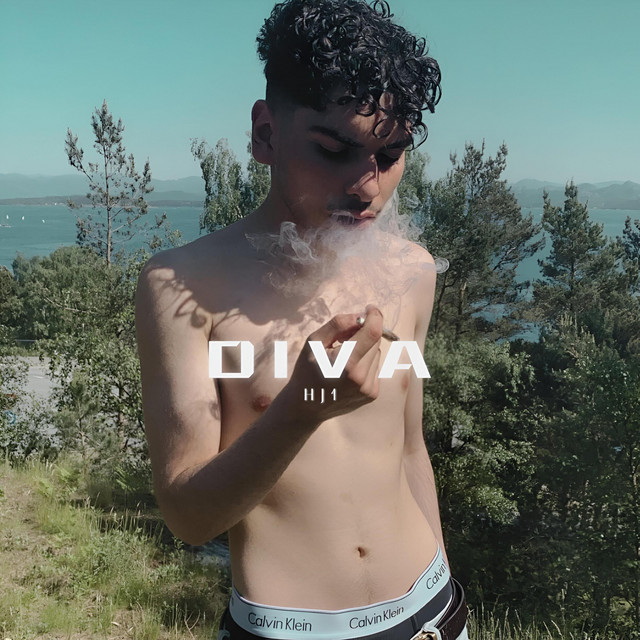 DIVA cover art
