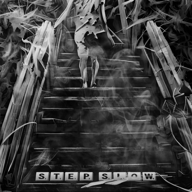 Step Slow cover art