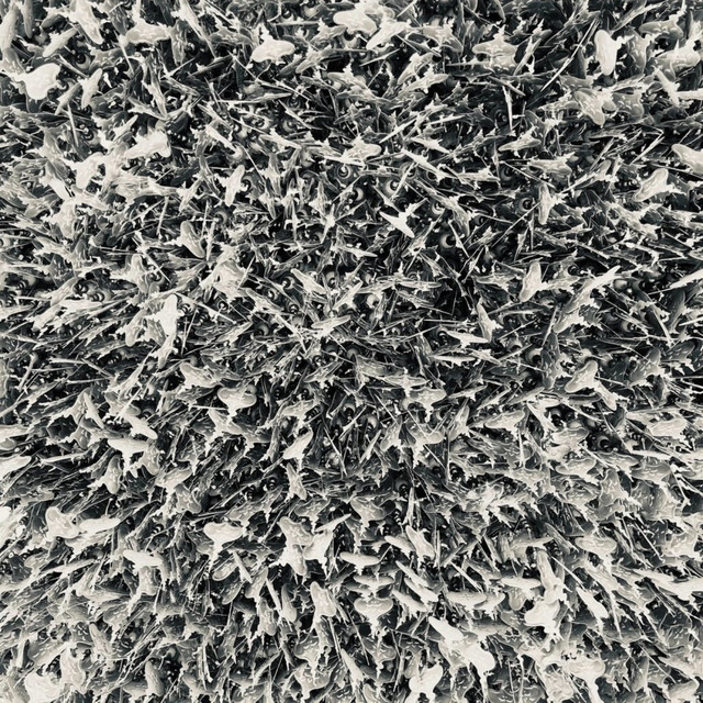 tvo