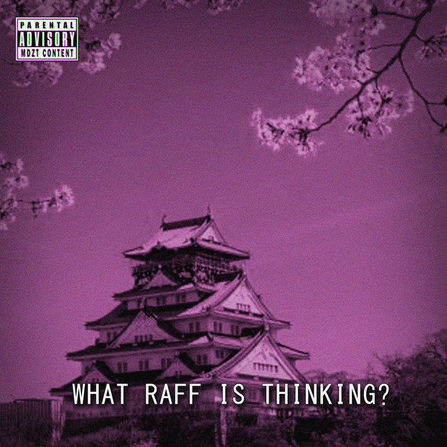What Raff Is Thinking? cover art