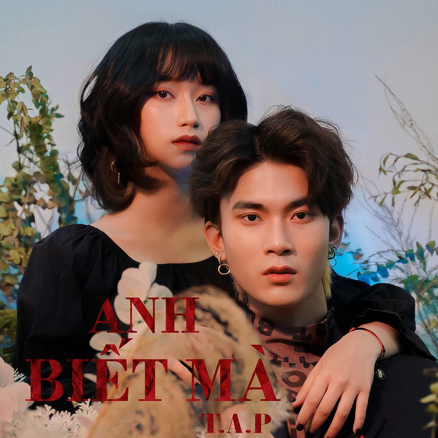 Anh Biết Mà cover art