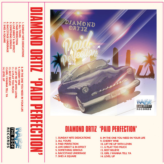Paid Perfection cover art