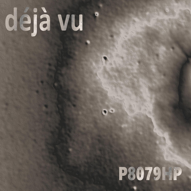 P8079hp cover art
