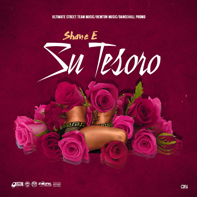 Su Tesoro cover art