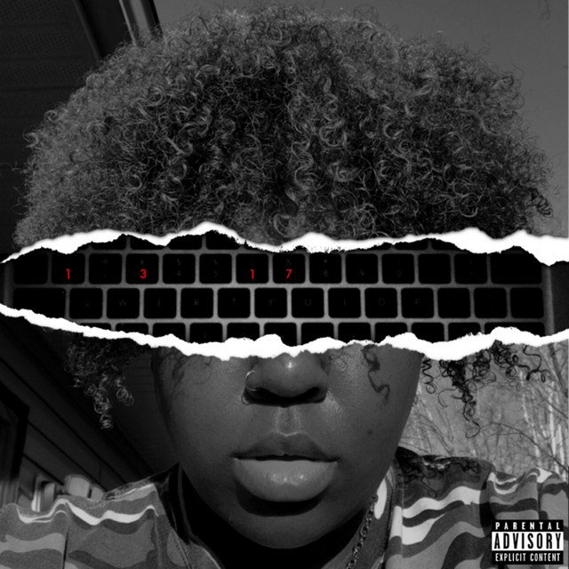 1317 cover art