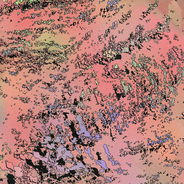 Betaloops cover art