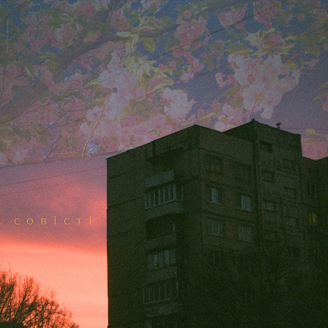 Cover art: совісті — тристапʼять