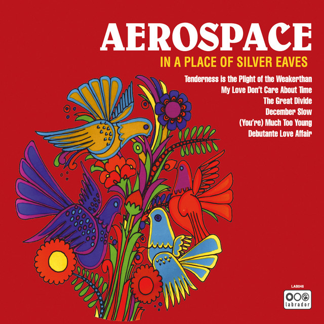 In a Place of Silver Eaves cover