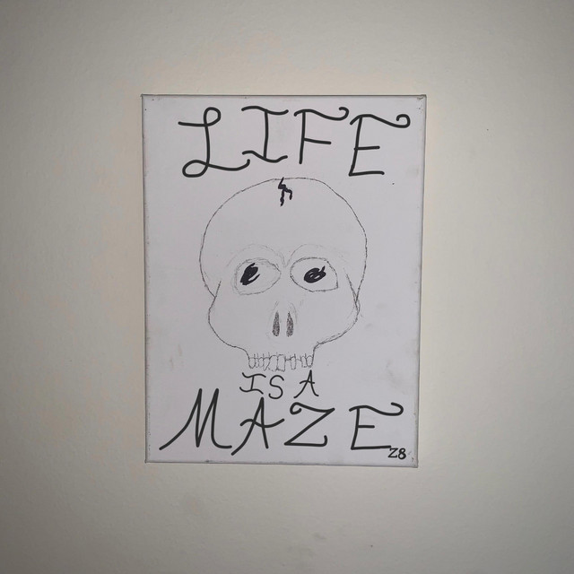 Lifes a Maze