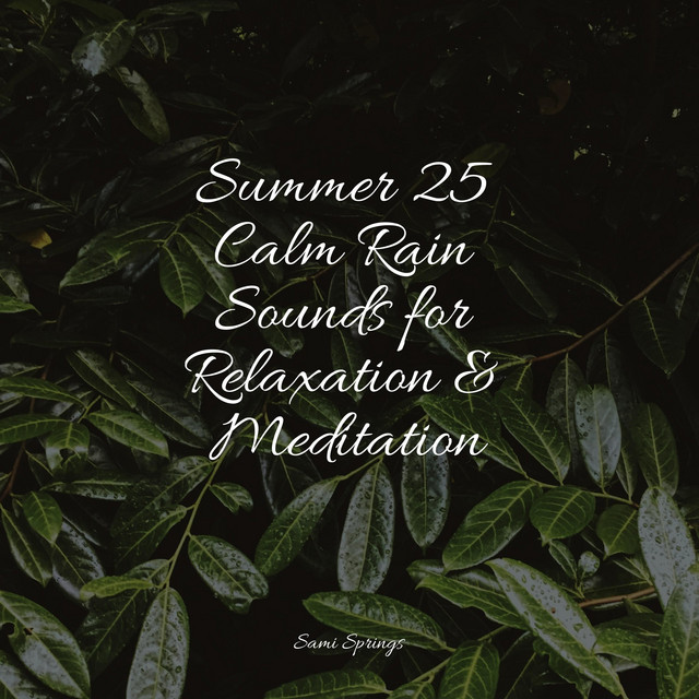 Summer 25 Calm Rain Sounds for Relaxation & Meditation - Album by White ...