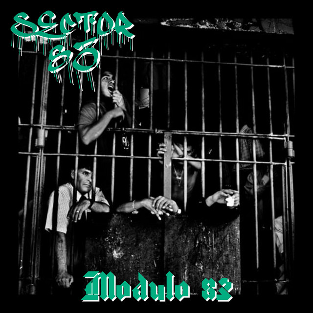 Modulo 83 cover art