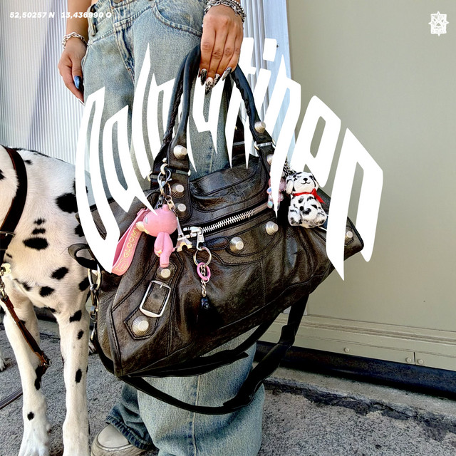 Dalmatiner cover