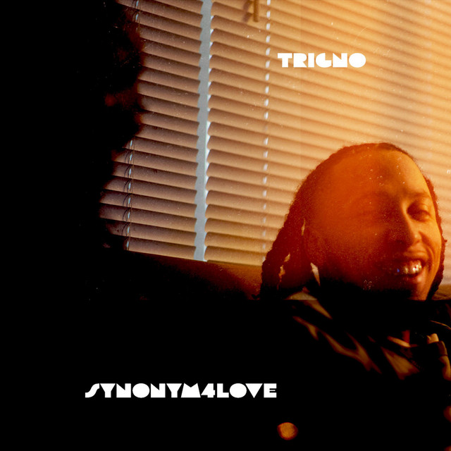 Synonym4Love cover art