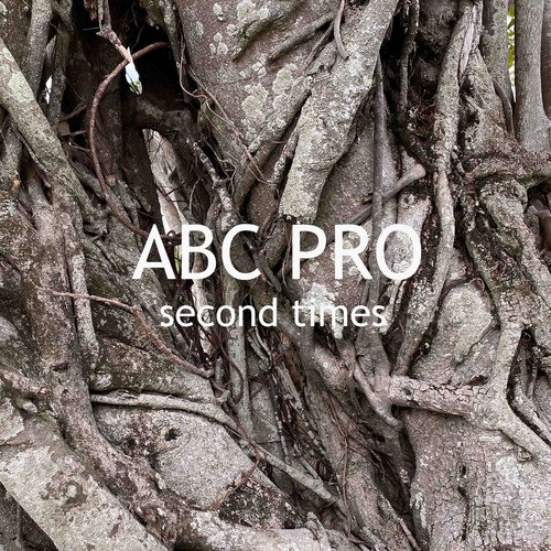 second times cover art
