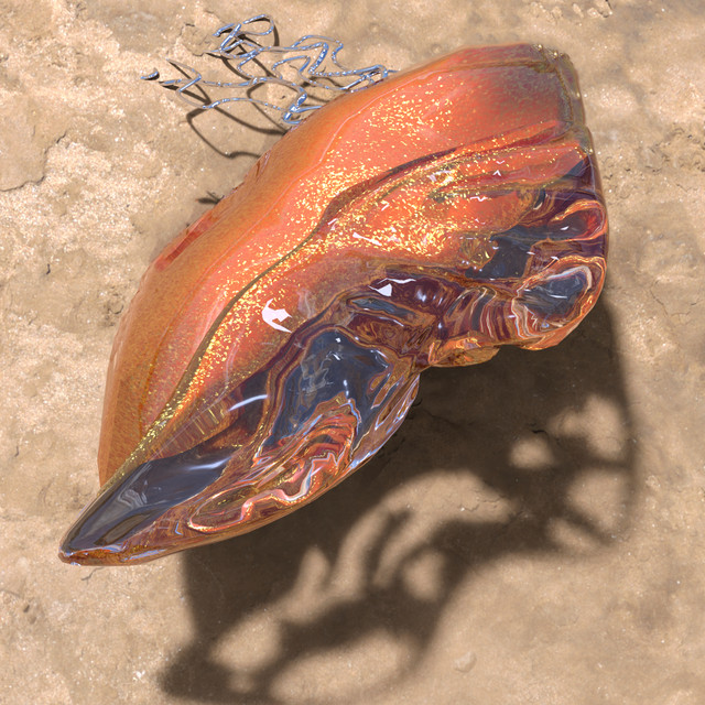 The Relic cover